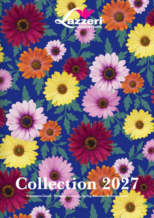 catalogo 2027